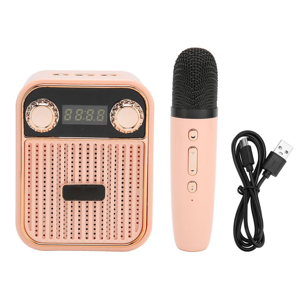Karaoke Machine HiFi Stereo Sound Portable Speaker with Microphone for Kids Gifts