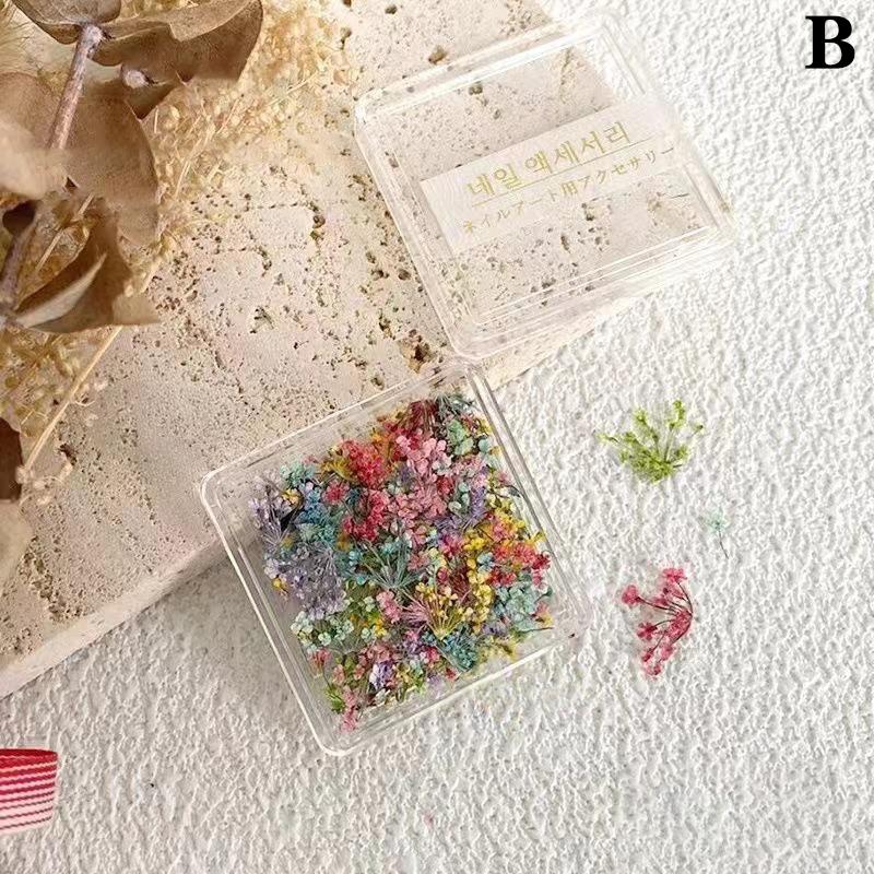 1Box Nail Art Flower Decoration Delicate 3D Dried Flower Nail Art Decorations Exquisite Nail Art Beauty For Charms Accessories