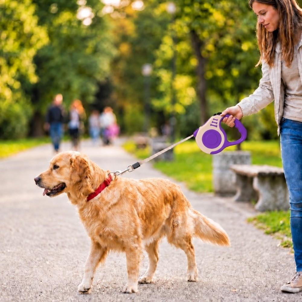 5M Multi Colors Retractable Dog Leash ABS Shell Dog Chain Cat Leash Outdoor Travel