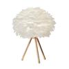 Nordic Gold Dimmable LED Feather Desk and Bedside Lamp
