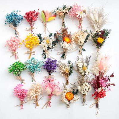1 mini bouquet de fleurs séchées naturelles fraîches et préservées, petite toile de fond décorative pour photographie, décoration d'intérieur