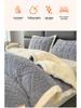 2025 Autumn/Winter Taffeta Fleece Duvet Cover & Blanket Combo for Home/Office