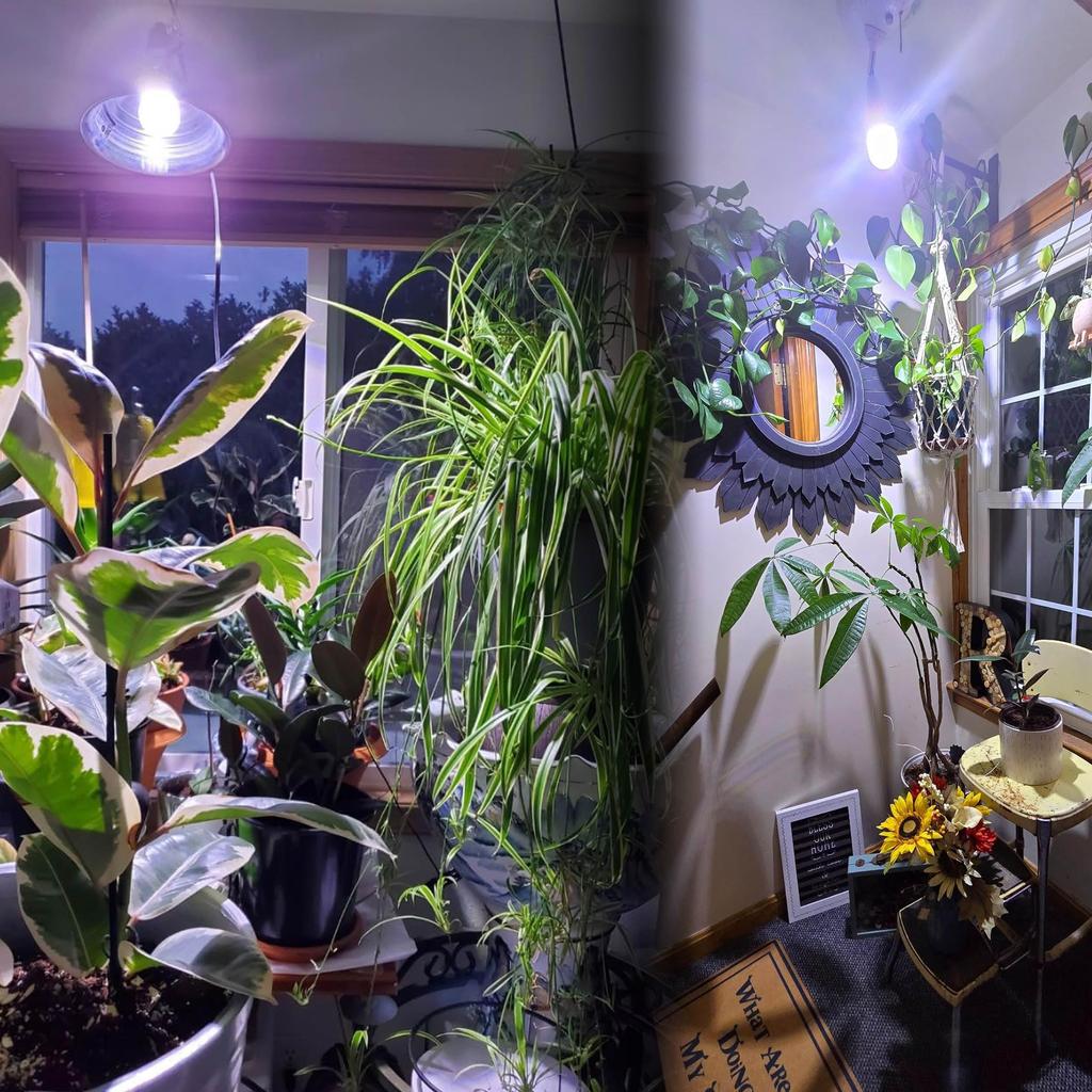 E17 Plant Grow Light, New LED Full Spectrum LED Plant Light, E17 Base, Standard Bulb, Indoor Plant Grow Light, E17 LED Bulbs, Pack of 2