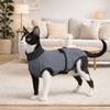 Breathable Dog Recovery Suit Elastic Pet Underwear Dog Physiological Pants  Neutering Recovery