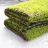 Artificial Moss Turf Carpet for Indoor & Outdoor Decoration