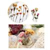 30Pcs Vintage Plants Flowers Leaves Stickers Vintage Retro Flower Plant Stickers Decals for Laptop