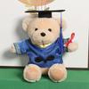 Cute Doctoral Bear Graduation Bear Doll Plush Toy Hat Doctoral Bear Doll Bachelor Bear