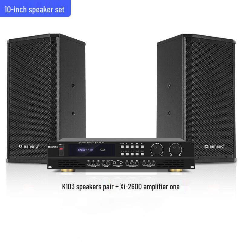 QIASHENG Conference Audio System Set