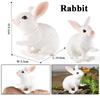 Oenux Lovely Farm Rabbit Bunny Model Action Figure Figurine Wild Desert Cottontail Hare Cute PVC Decoration Education Kid Toy