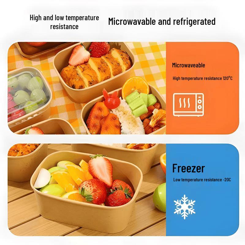Disposable Food Container with Lid