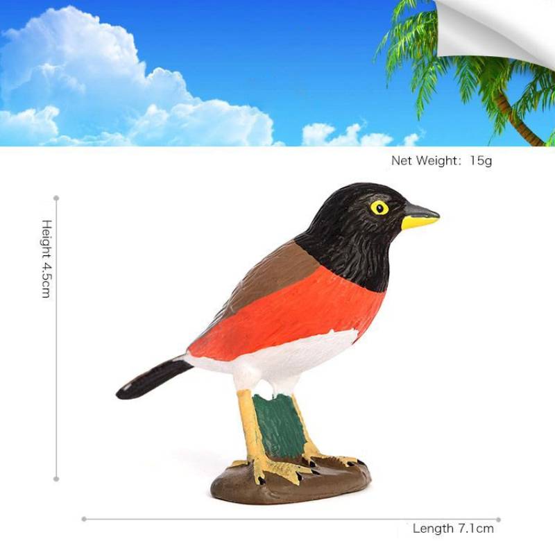 

Птица Образовательная ПВХ Модель Реалистичная Фигурка Животного Несобранная Детская Игрушка StyleC