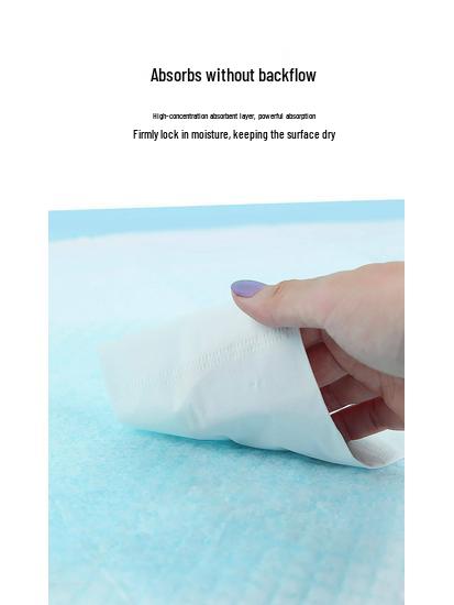 Thickened Absorbent Waterproof Pet Training Pad for Dogs, Cats, Rabbits, and Teddies
