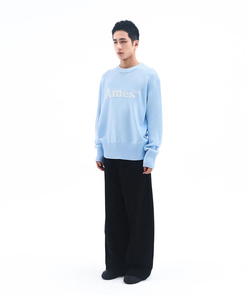 AMES-WORLDWIDE Basic Pullover Knit Light Blue