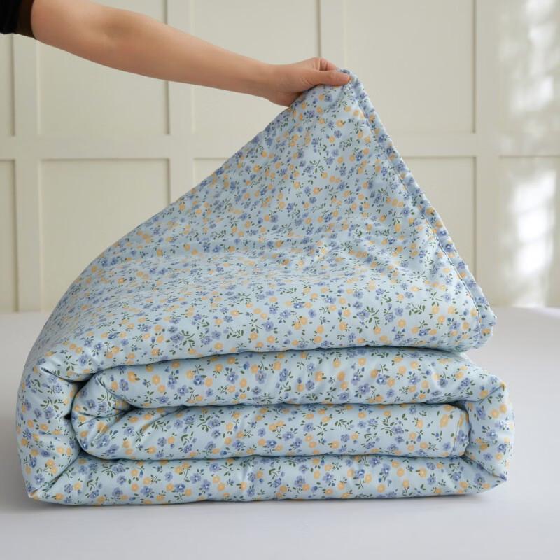 Hongdou Quick-Dry Breathable Washed Cotton Summer Quilt