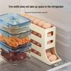 Dual-Layer Egg Rolling Storage Rack for Refrigerator Doors
