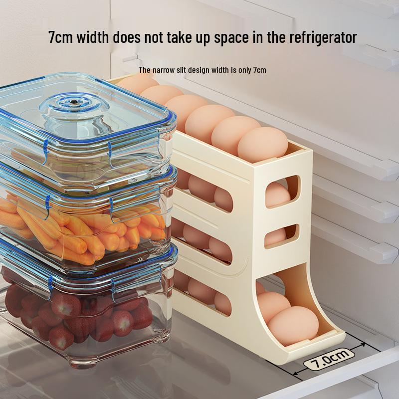 Dual-Layer Egg Rolling Storage Rack for Refrigerator Doors