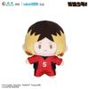 Genuine Bilibili Goods Cotton Haikyu!! Plush Doll Keychain Anime Peripheral Kawaii Stuffed Bag Ornament Birthday Gift