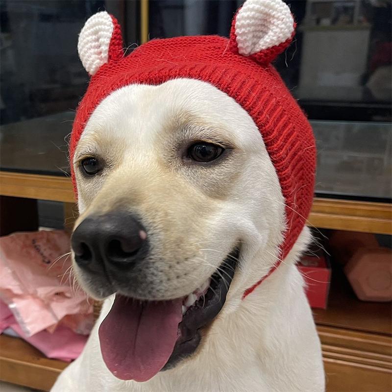 Pet Hat Winter Labrador Golden Retriever Funny Headgear Warm Cute Puppy Hat