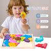 Shinse Wooden Puzzle, 5-Piece Series, Shape Matching Puzzle for Kids and Toddlers, Montessori Style, Early Development, Educational Toy, Fingertip