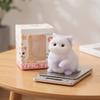 TPR-Material Katze Quetschspielzeug Schnelle Rückfederung Katze Quetschpuppe Klebriges Spielzeug Katze Fidget Spielzeug Geschenkidee