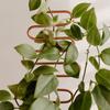 Small Metal Trellis For Potted Plants Robustness & Durable For Indoor Flower Pot Wwo66