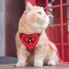 Cat Leash Anti-break Free Go Out Special Cat Leash Pet Strap Chain Adjustable Internet Celebrity Cat Walking Artifact