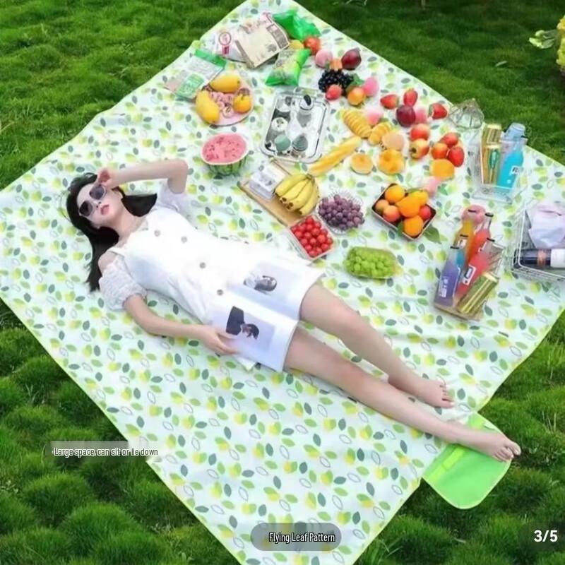 Portable Outdoor Moisture-Proof Mat