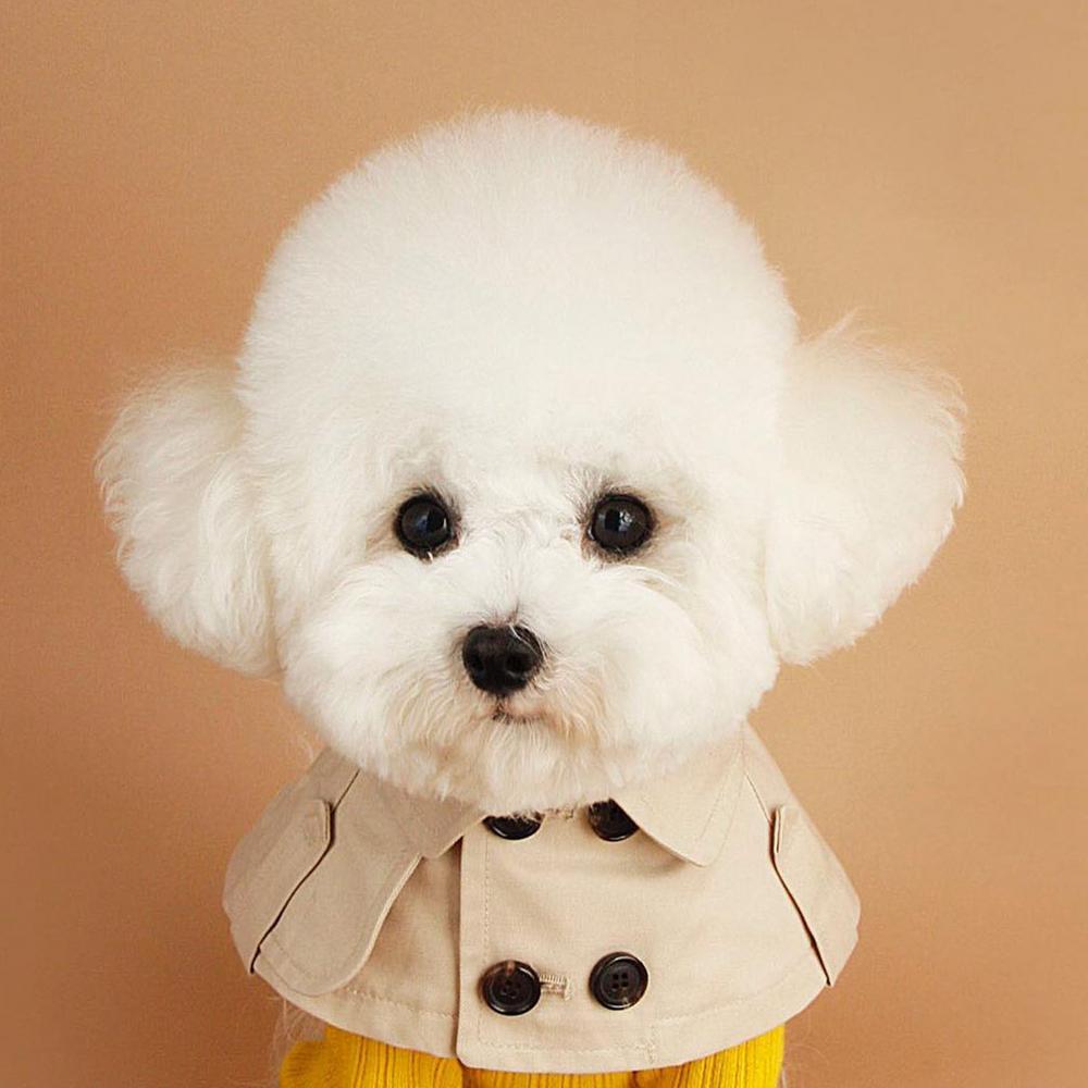 Mode Britischer Stil Hundemantel Windjacke Corgi Französische Bulldogge Haustier Hund Lätzchen Haustierkleidung Umhang Haustier Kostüm Trenchcoat Für Kleinen Hund