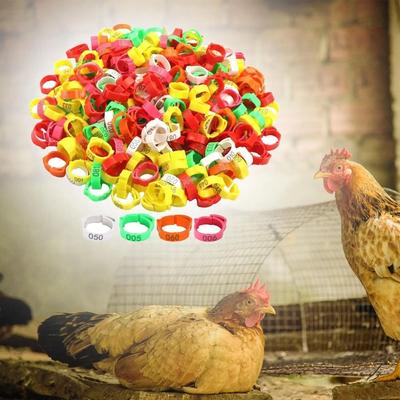 100 Pièces avec Numéros 001-100 Anneau de Patte de Poulet Réglable Marqueur de Poulet en Plastique Clip à Cliquet pour Patte de Volailles Rat