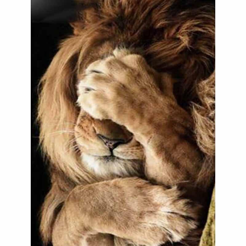 New 5D DIY Diamond Painting Lion Diamond Embroidery Animals Full Round Drill Crafts Home Decor Manual Gift