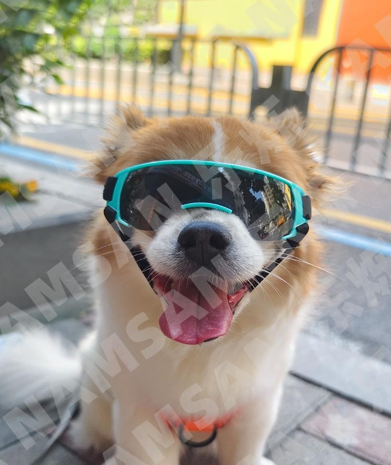 New Design Dog Sunglasses Pet Goggles Dog Glasses UV Protection for Eye Windproof Outdoor