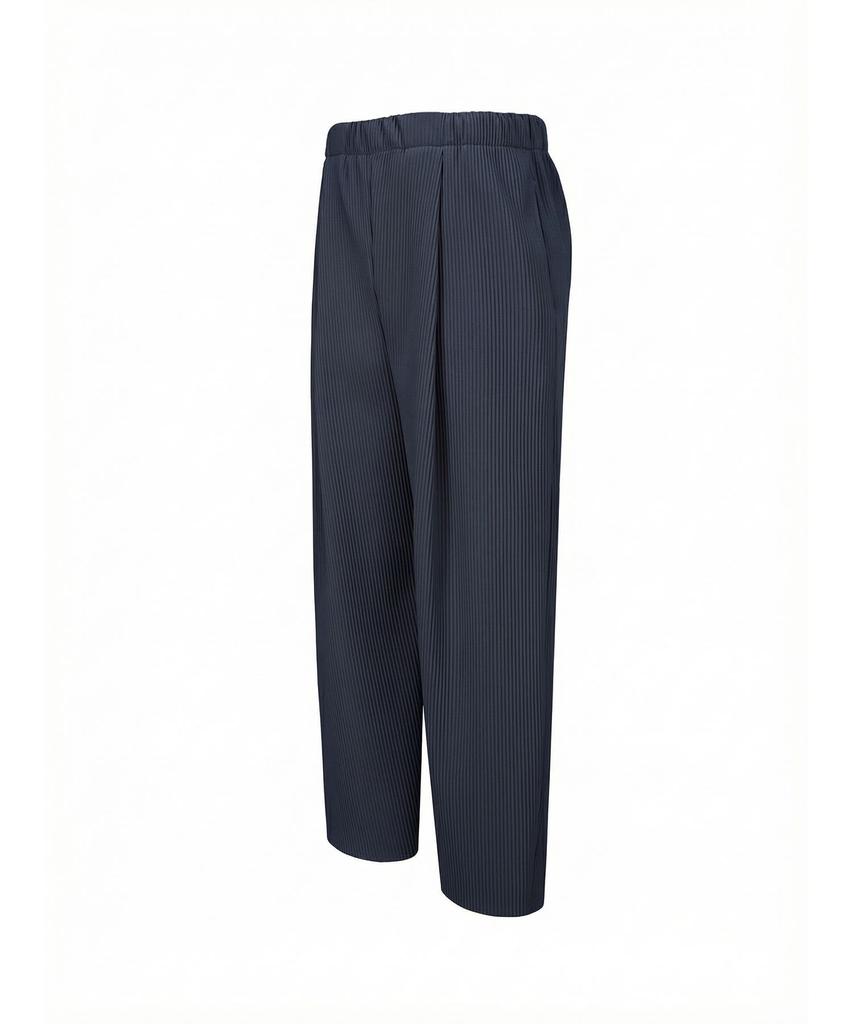 Akebteu Pt11X Pleated Wide Pintuck Pants [Navy]