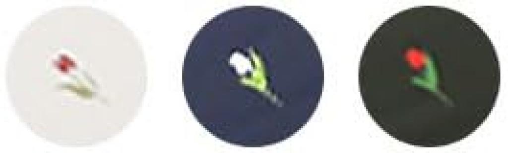 NATURAL BEAUTY Sun F for Both Sunny and Rainy and with a Dark Coating On the Umbrella, Navy, (Suitable Days, Lightweight, Heat-blocking,