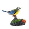 Singing Chirping Bird Toy Sounds & Movements Sound Activated