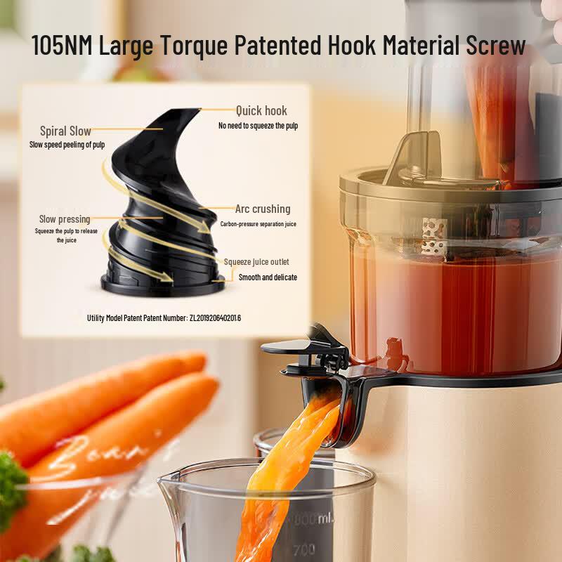 Bear Cold Press Juicer CN plug (adapter included)