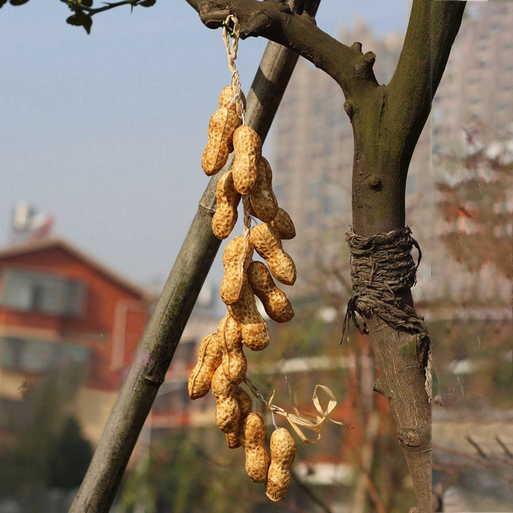 

Комната Декоративный Настенный Декор Искусственные Овощи Поддельные Овощи Реквизит для Фотографии Имитация Еды peanut