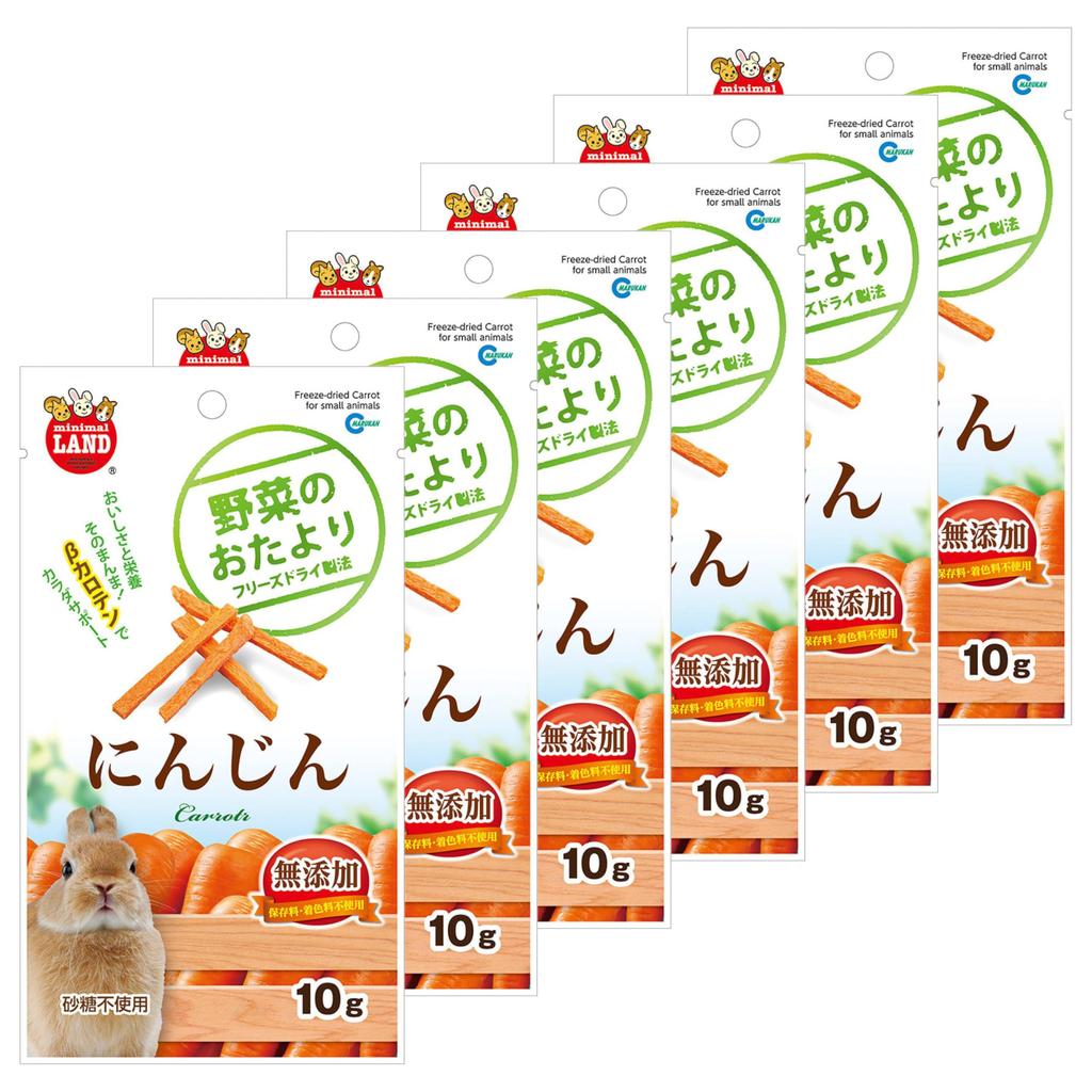 Minimal Land Vegetable Letter Carrots 10g (Set of 6)