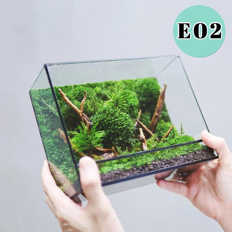 Mini Ver Rainforest Fougère Mousse Carré Écologique Géométrique Miniature Terrarium en Ver Pot à Plantes Récipient Serre de Table