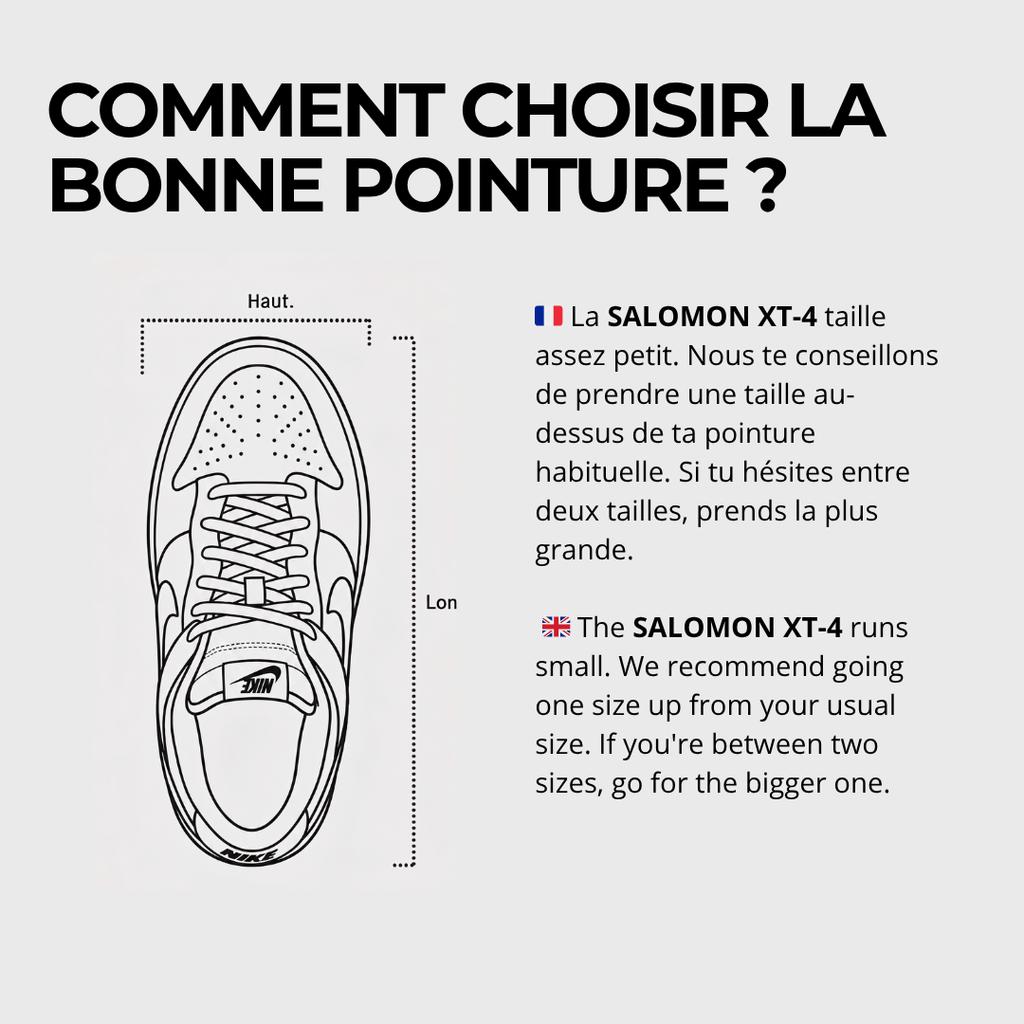Salomon XT-4 OG Lunar Rock Alloy Silver