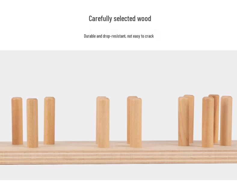 Montessori Geometric Shape Matching Blocks: Educational Early Learning Toy Set for Babies and Toddlers.