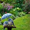 2D Flat Design Blue Bird Garden Figurine Umbrella Decor Acrylic Yard Ornament Garden Stake