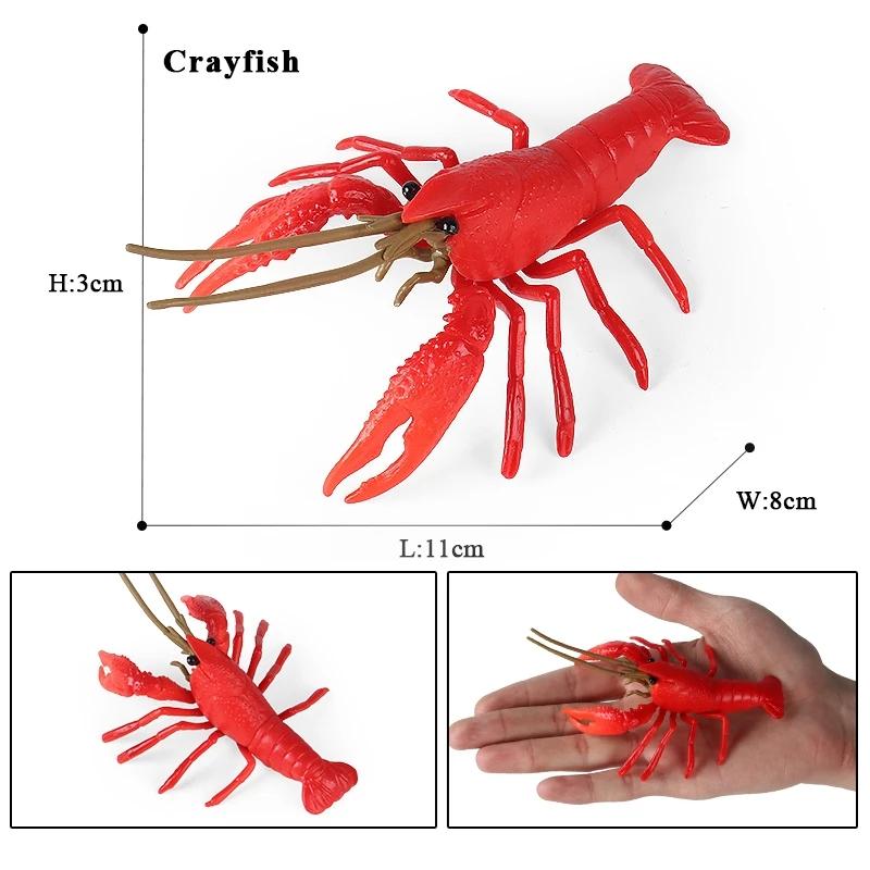 Oenux Ocean Starfish Sea Anemone Coral Jellyfish Squid Shrimp Crab Shark Animals Model Action Figures PVC Miniature Kid Toy Gift