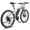 Electric Bicycle Fafrees Hailong 26" 250W Motor City Adult Electric Bike 48V 13AH LCD Display Top Speed 25Km/h Shimano 21 Speed