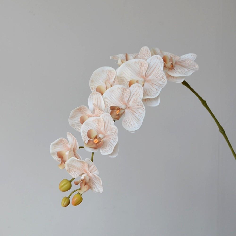 Einzelner Ast Simulation Schmetterlingsorchidee Mottenorchidee Plastikblumenstrauß Heimdekoration