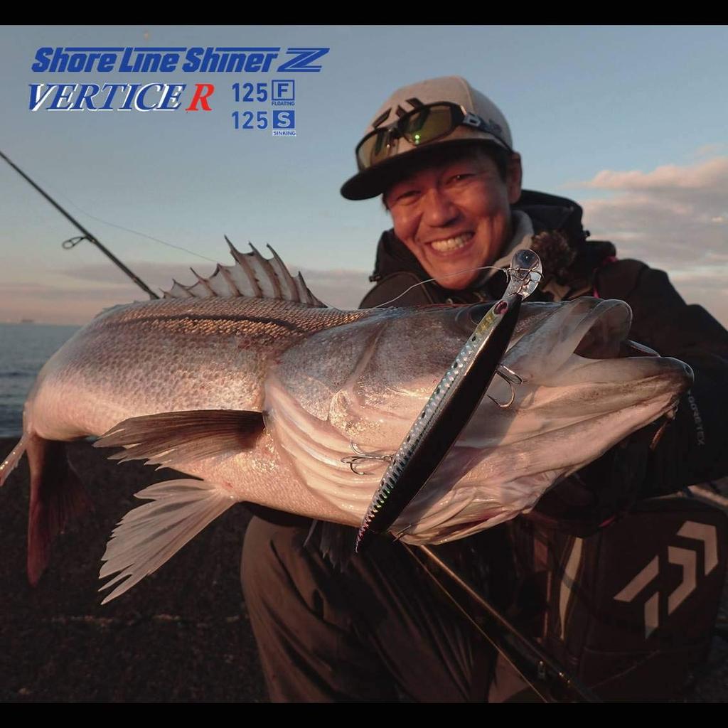 Daiwa Shoreline Shiner Z Vertis R125F 3D Inakko Sea Bass Minnow Lure