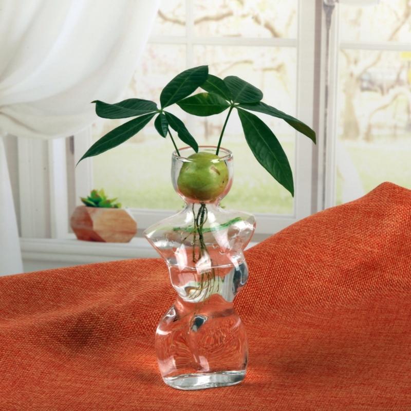 Female Body Clear Glass Avocado  Sprouting Planter Modern Hydroponic Vases For Indoor Plant Display Desktop Decors