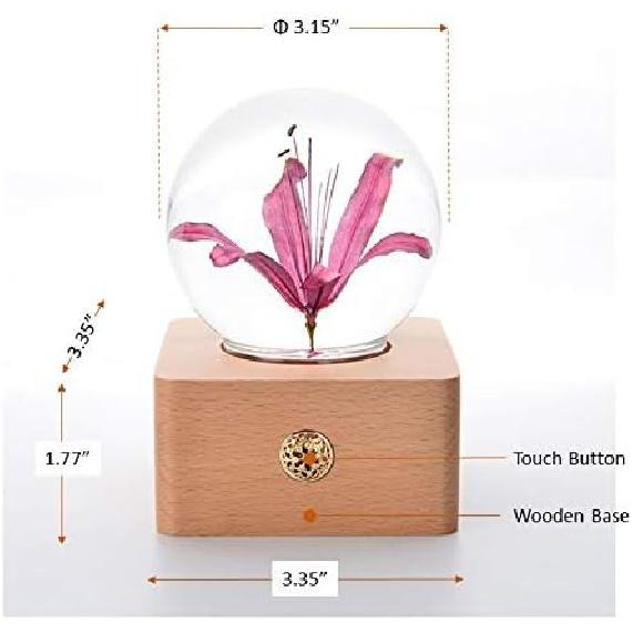 MISS LI GARDEN Forever Flowers Various and Original Color Flower in 3D Crystal Ball with LED Lights,Elegant Present for Girlfriend Wife Mom Women