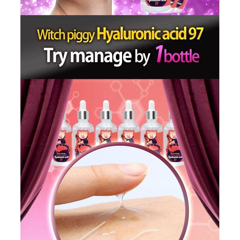 Elizavecca - Witch Piggy Hell Pore Control Hyaluronic Acid 97