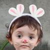 10Pcs/Lot Diy Handmade Plush Embroidered Ears Padded Patches Appliques For Clothes Sewing Supplies Diy Hair Decoration