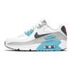 Nike Air Max 90 Leather GS Białe Chlorowo-Niebieskie Buty Sportowe dla Dzieci Jasno-Fuzjowy-Czerwony Żelazno-Szary CD6864-108